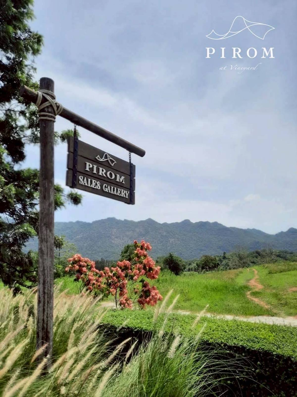 For SaleLandChiang Mai : Pirom At Vineyard Khao Yai Project Pirom At Vineyard Code: L8054