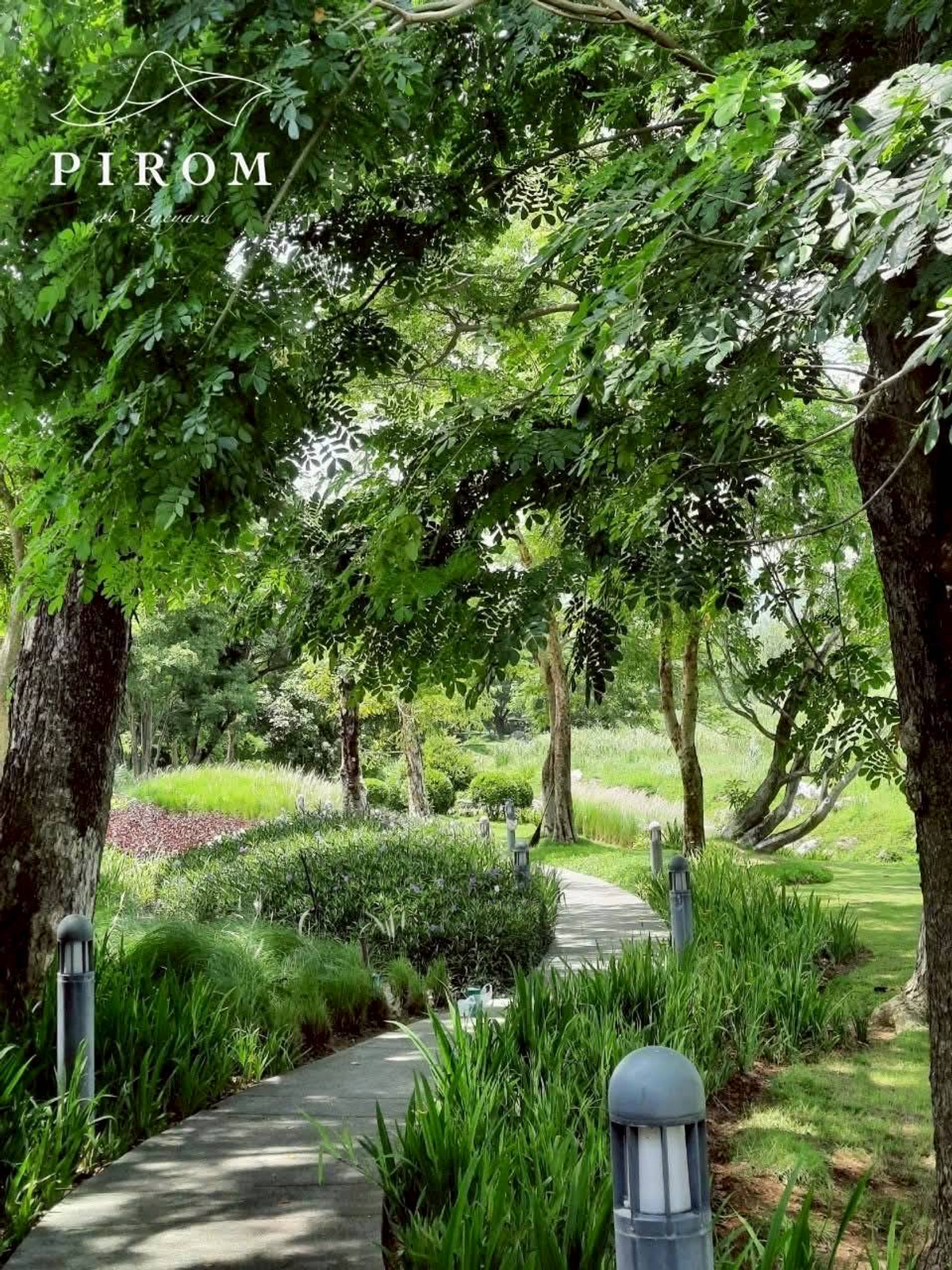 For SaleLandChiang Mai : Pirom At Vineyard Khao Yai Project Pirom At Vineyard Code: L8054