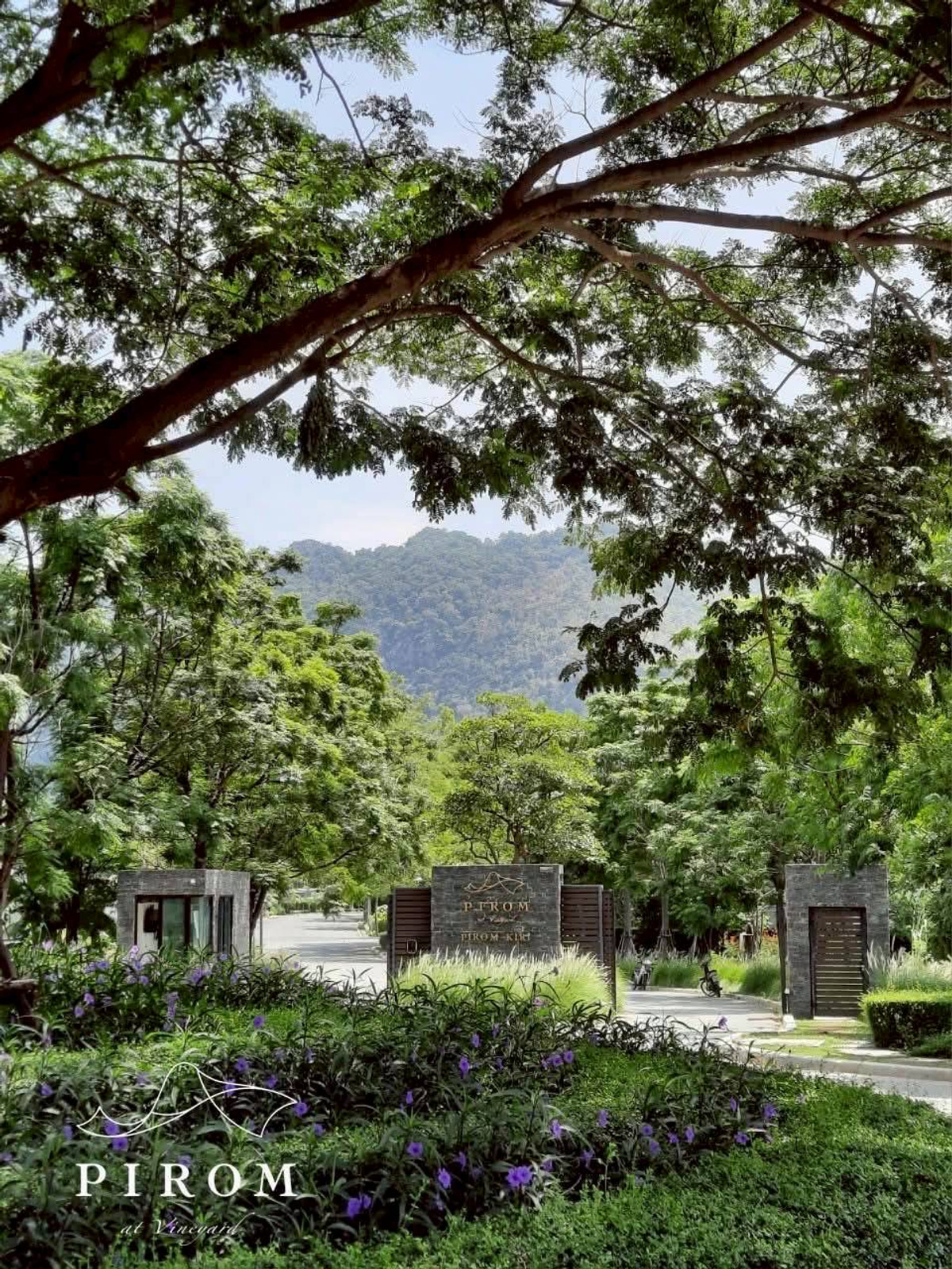 For SaleLandChiang Mai : Pirom At Vineyard Khao Yai Project Pirom At Vineyard Code: L8054