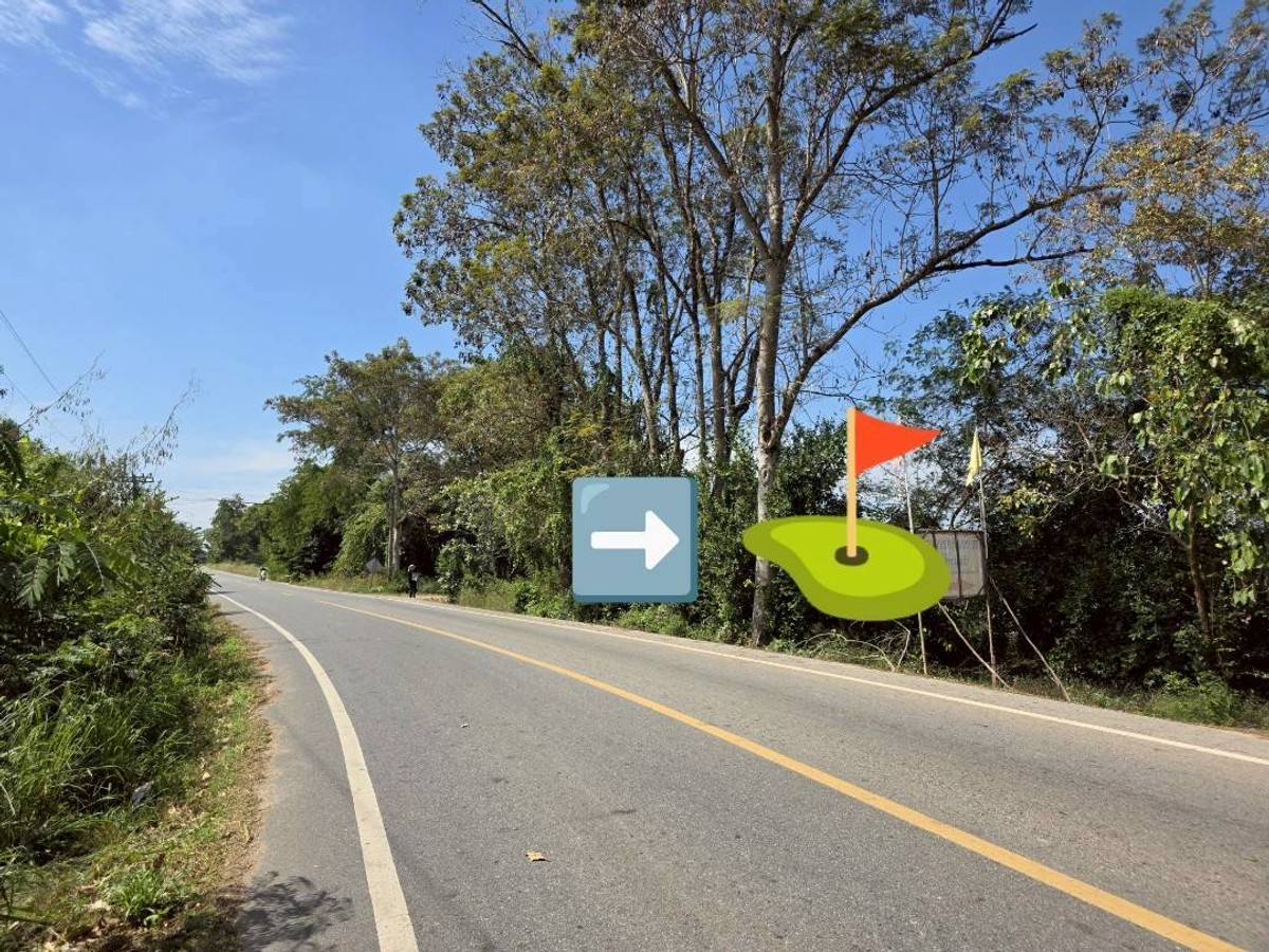 ขายที่ดินฉะเชิงเทรา : ขายที่ดินเปล่า  20 ไร่ พนมสารคาม ฉะเชิงเทรา เขต EEC ราคาต่อวาไม่ถึงพัน ใกล้นิคม 304 เหมาะสร้างโกดัง กำไรตั้งแต่ซื้อ