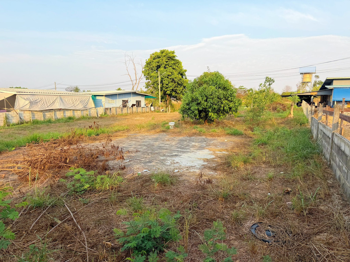 ขายที่ดินพัทยา บางแสน ชลบุรี สัตหีบ : ที่ดิน 204 ตร.ว. มาบประชันบน / (ขาย), Land 204 sq m. Map Prachan Bon / (FOR SALE) BEWN070