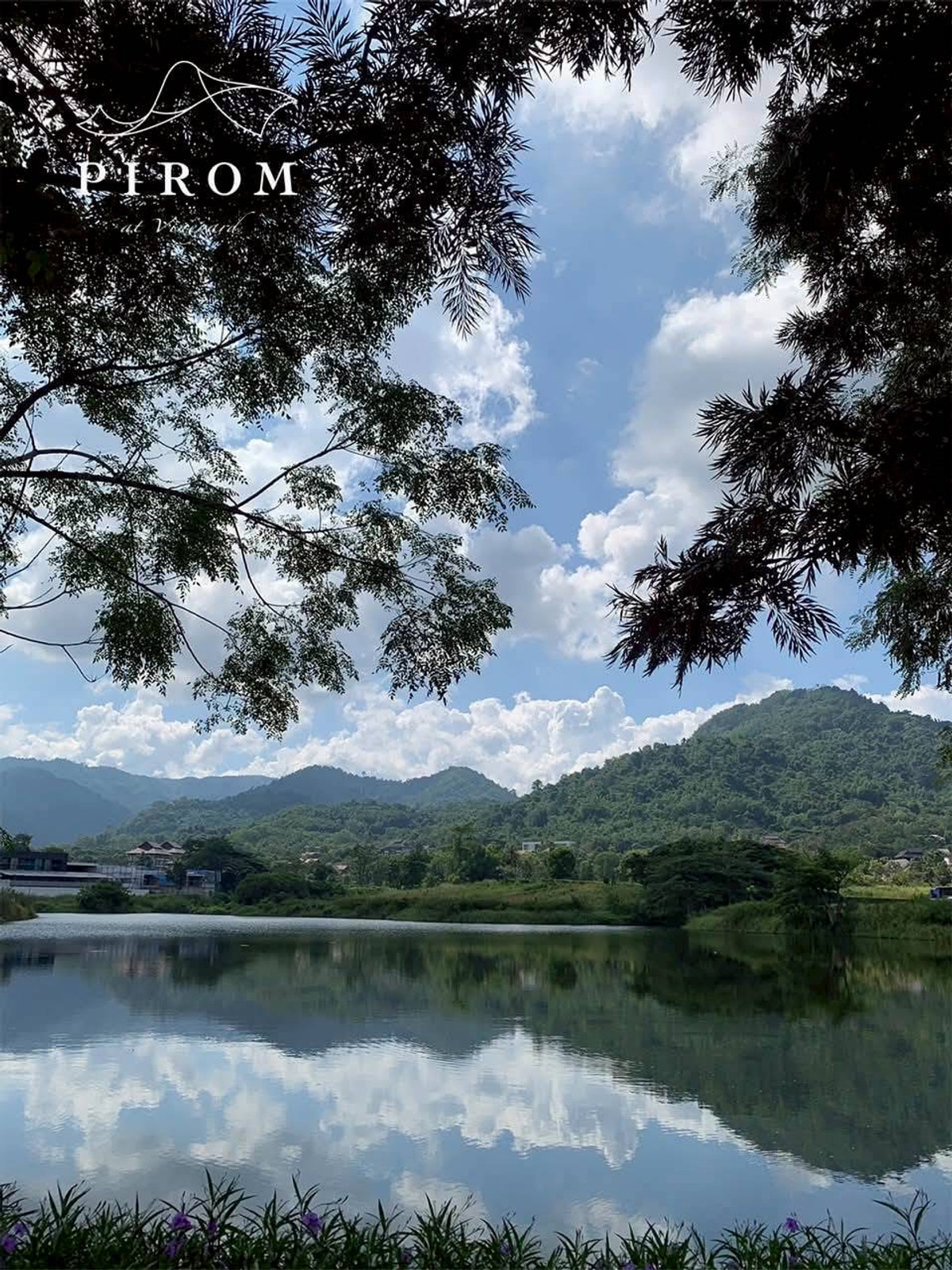 For SaleLandChiang Mai : Pirom At Vineyard Khao Yai Project Pirom At Vineyard Code: L8054