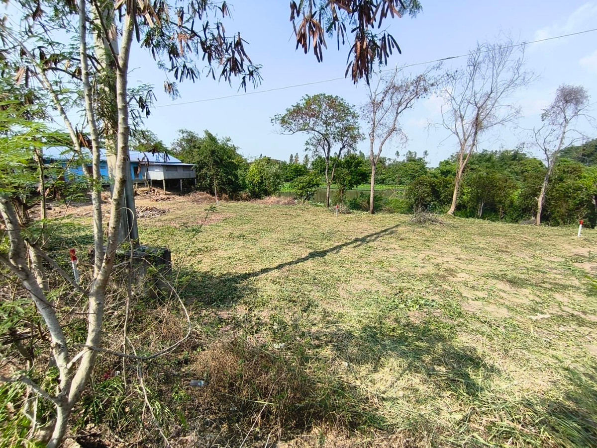 ขายที่ดินอยุธยา : ที่ดินติดถนน ติดคลองธรรมชาติ เพื่อความมั่นคงในวัยเกษียณ และยุคสงคราม