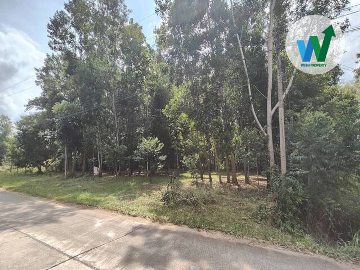 For SaleLandPhatthalung : Land for sale near Thaksin University, Phatthalung Campus, to build a student dormitory.