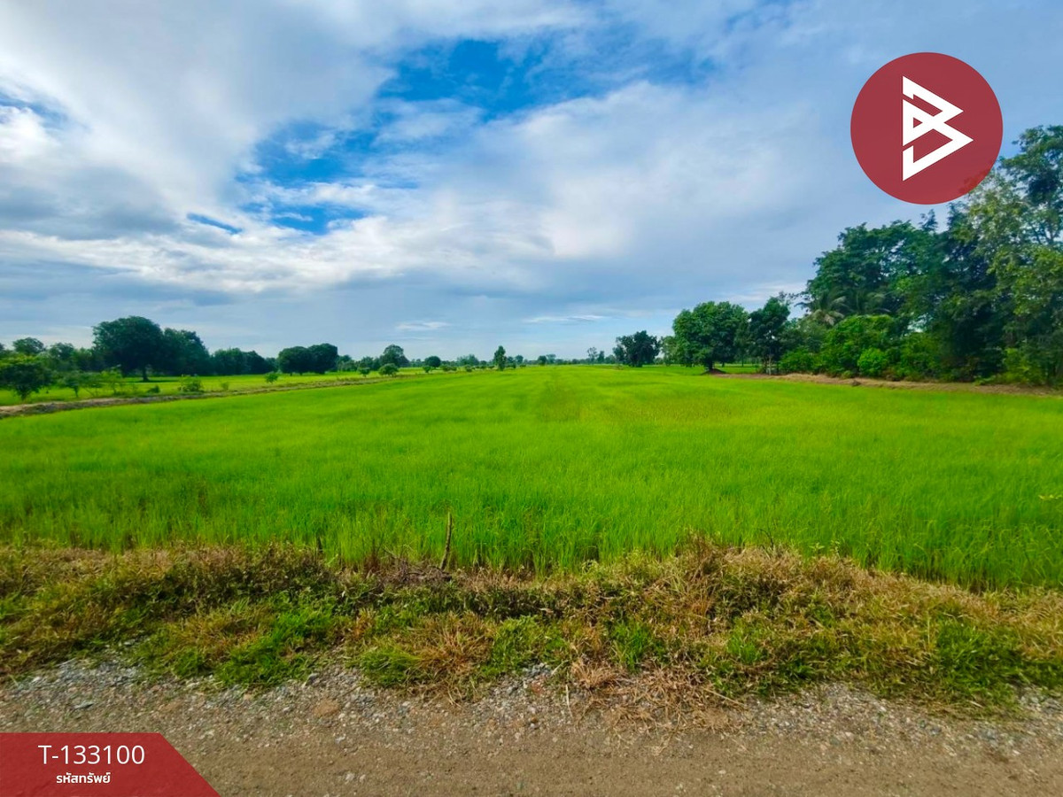 For SaleLandNakhon Sawan : Empty land for sale, area 10 rai, Tha Tako, Nakhon Sawan.
