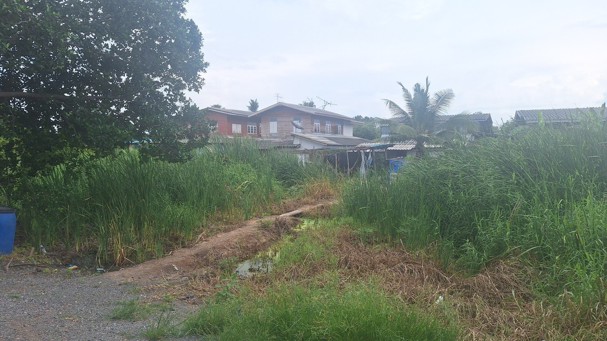 For SaleLandPathum Thani,Rangsit, Thammasat : 🩷Land for sale in Nong Suea District, Khlong 12 Subdistrict, east side, 3 plots, 1 ngan 50 sq m each, selling for 650,000 baht per plot, can build a house. Interested line @900cqqhk tel 0859114585 🩷