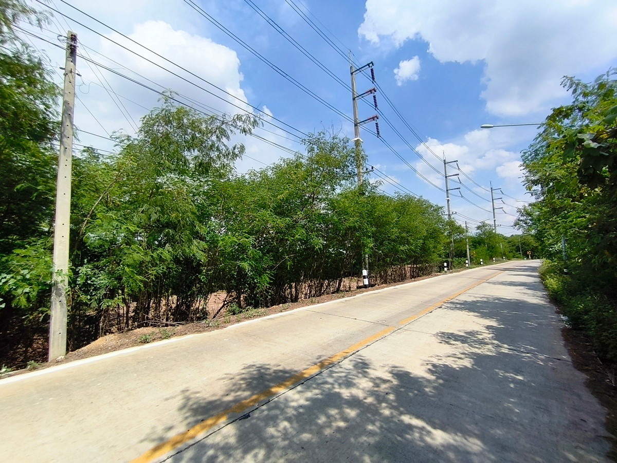 ขายที่ดินอยุธยา : ที่ดินติดถนน ติดคลองธรรมชาติ เพื่อความมั่นคงในวัยเกษียณ และยุคสงคราม