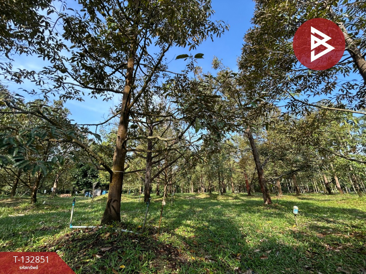 For SaleLandChanthaburi : Durian orchard land for sale, area 7 rai 1 ngan 48.3 square wah, next to Dam Road, Makham, Chanthaburi.