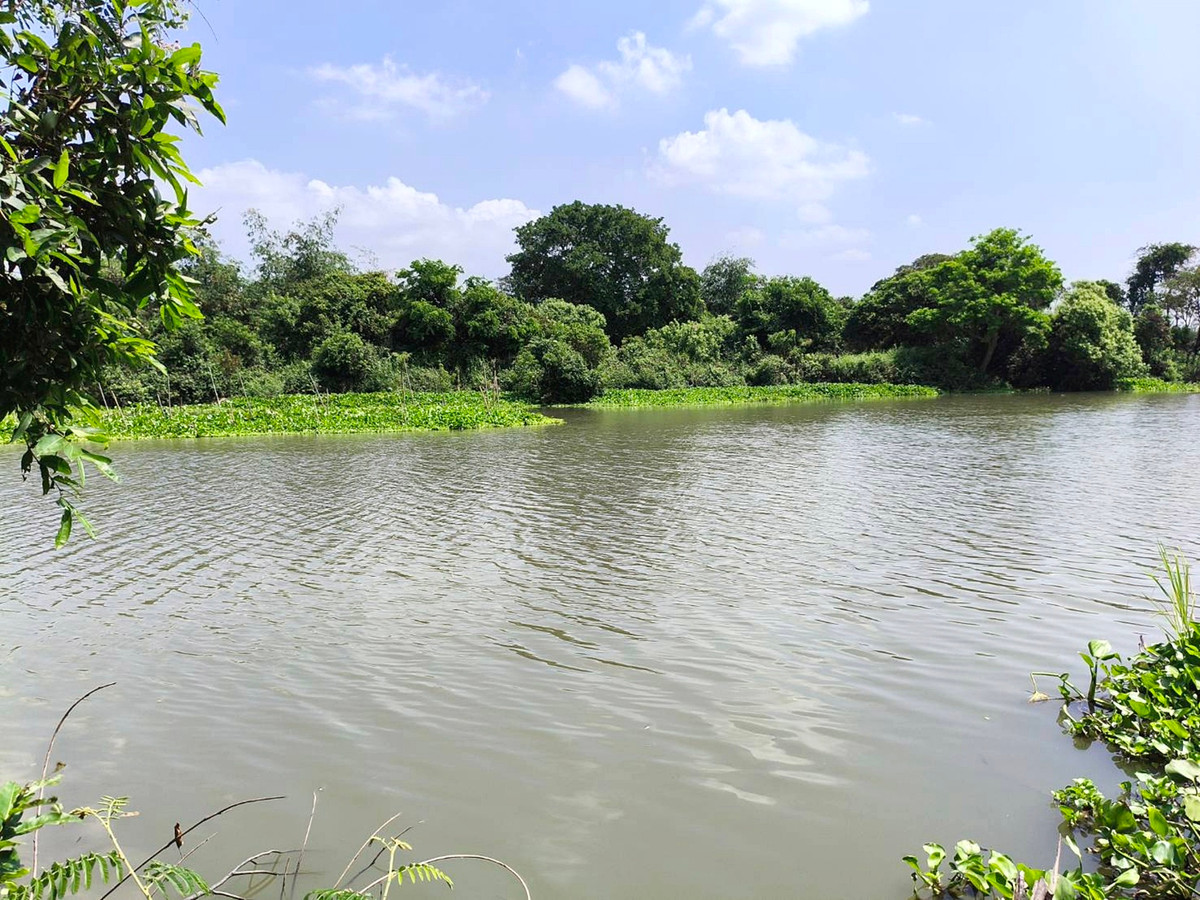 ขายที่ดินอยุธยา : ที่ดินติดถนน ติดคลองธรรมชาติ เพื่อความมั่นคงในวัยเกษียณ และยุคสงคราม