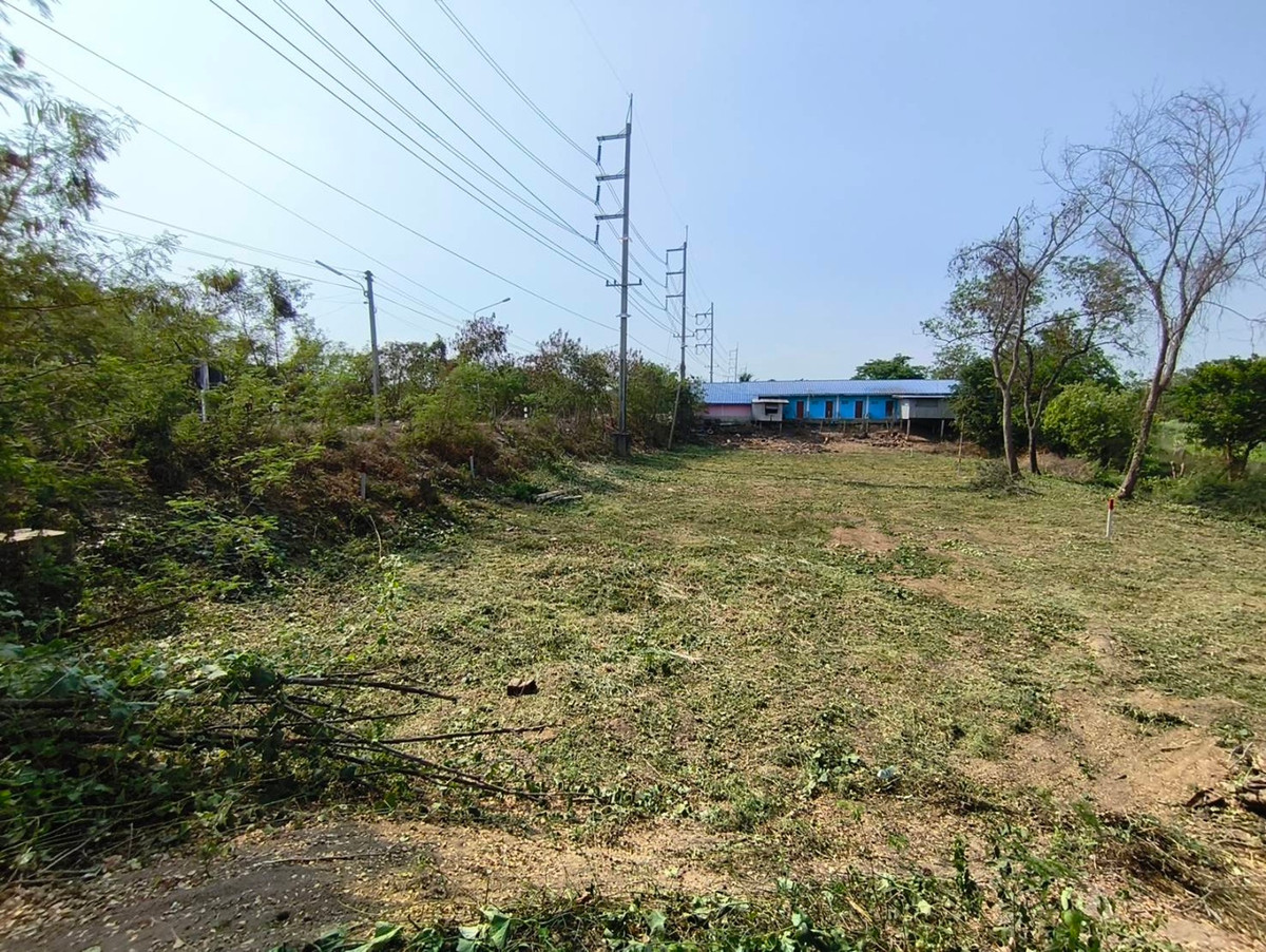 ขายที่ดินอยุธยา : ที่ดินติดถนน ติดคลองธรรมชาติ เพื่อความมั่นคงในวัยเกษียณ และยุคสงคราม