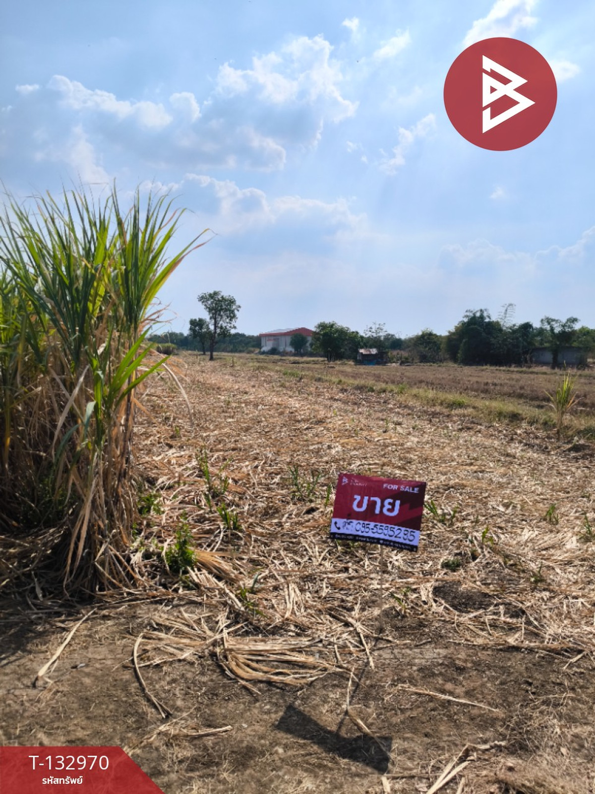 For SaleLandPhetchabun : Land for sale, area 20 rai 86 square wah, Si Thep, Phetchabun.