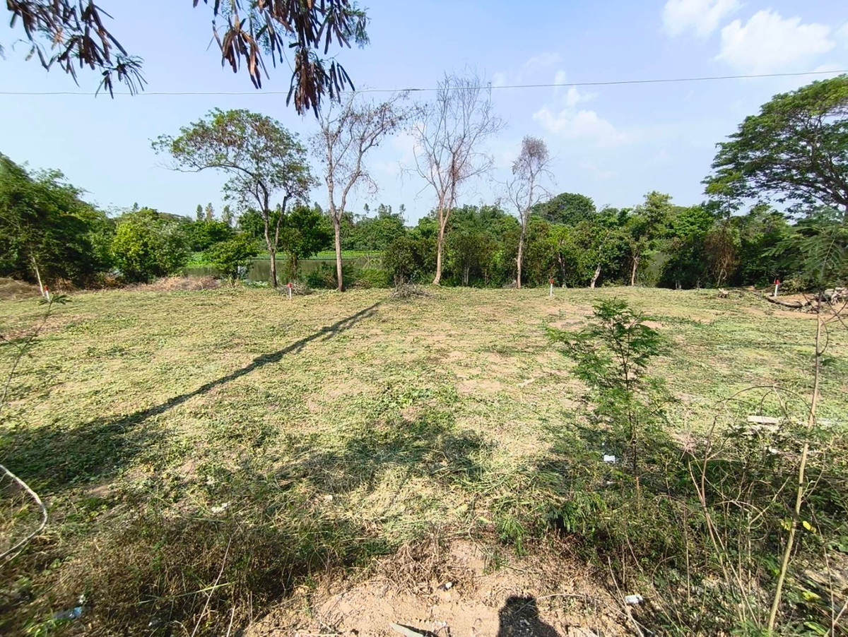 ขายที่ดินอยุธยา : ที่ดินติดถนน ติดคลองธรรมชาติ เพื่อความมั่นคงในวัยเกษียณ และยุคสงคราม