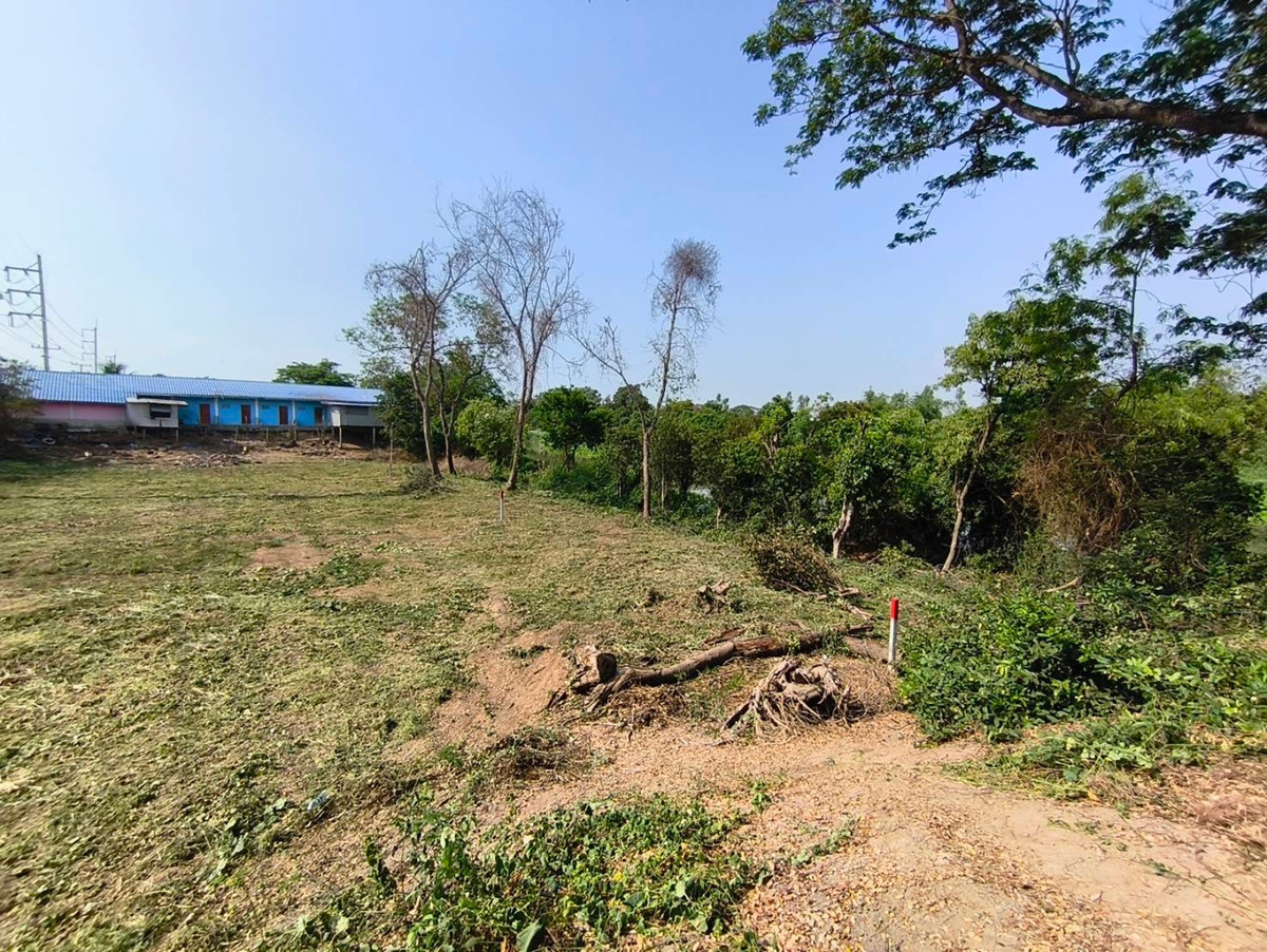 ขายที่ดินอยุธยา : ที่ดินติดถนน ติดคลองธรรมชาติ เพื่อความมั่นคงในวัยเกษียณ และยุคสงคราม