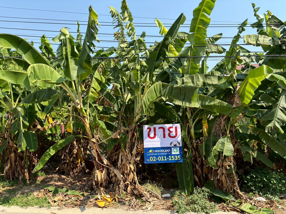 For SaleLandRattanathibet, Sanambinna : Sell !! Vacant Land in Nonthaburi Soi Rewadee 8