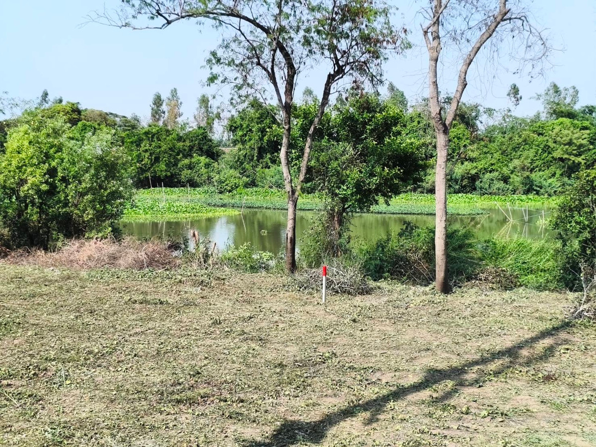 ขายที่ดินอยุธยา : ที่ดินติดถนน ติดคลองธรรมชาติ เพื่อความมั่นคงในวัยเกษียณ และยุคสงคราม