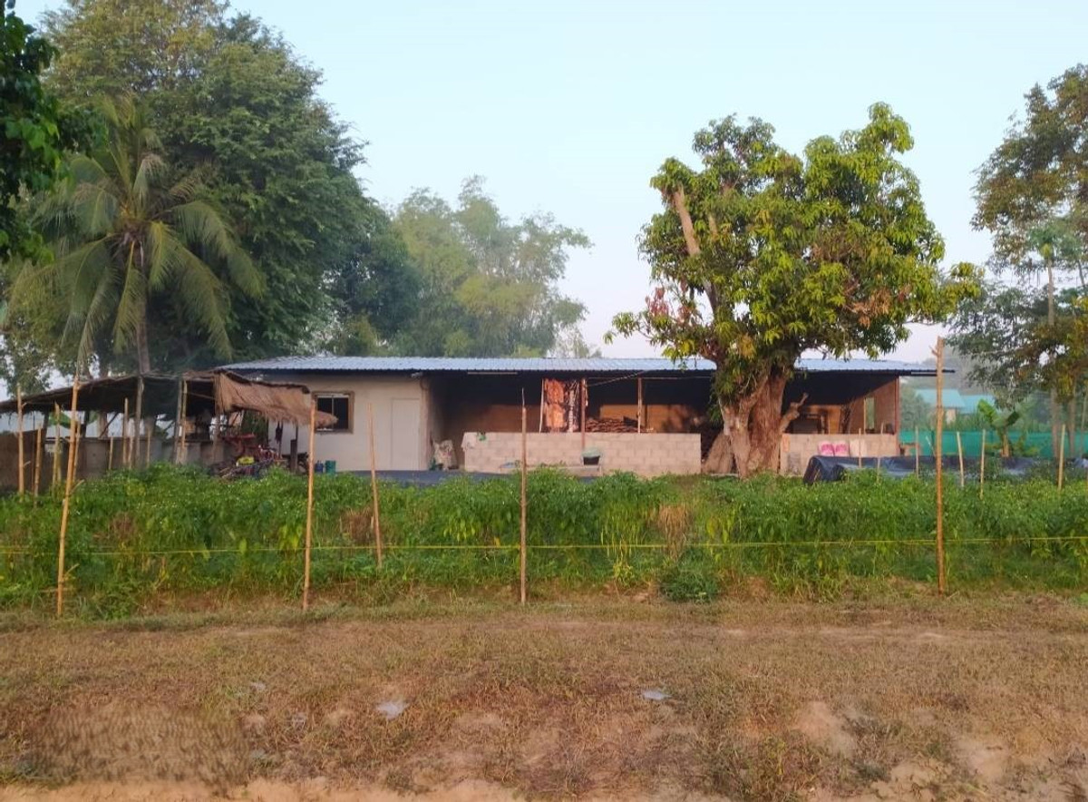 For SaleLandNong Khai : 95685 - Large plot of land for sale, 33 rai, near the Mekong River. Si Chiang Mai District, Nong Khai Province