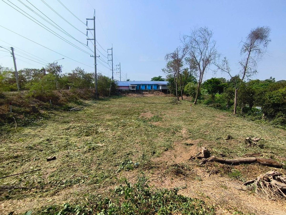 ขายที่ดินอยุธยา : ที่ดินติดถนน ติดคลองธรรมชาติ เพื่อความมั่นคงในวัยเกษียณ และยุคสงคราม