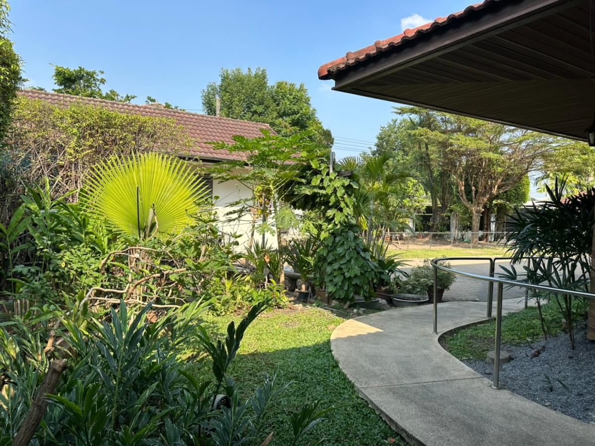 ขายบ้านพัฒนาการ ศรีนครินทร์ : 🔥ขายด่วน+🔥บ้านเดี่ยวหรู ทำเลศักยภาพ ซอยกรุงเทพกรีฑา 8 เฟอร์นิเจอร์ครบ พร้อมเข้าอยู่