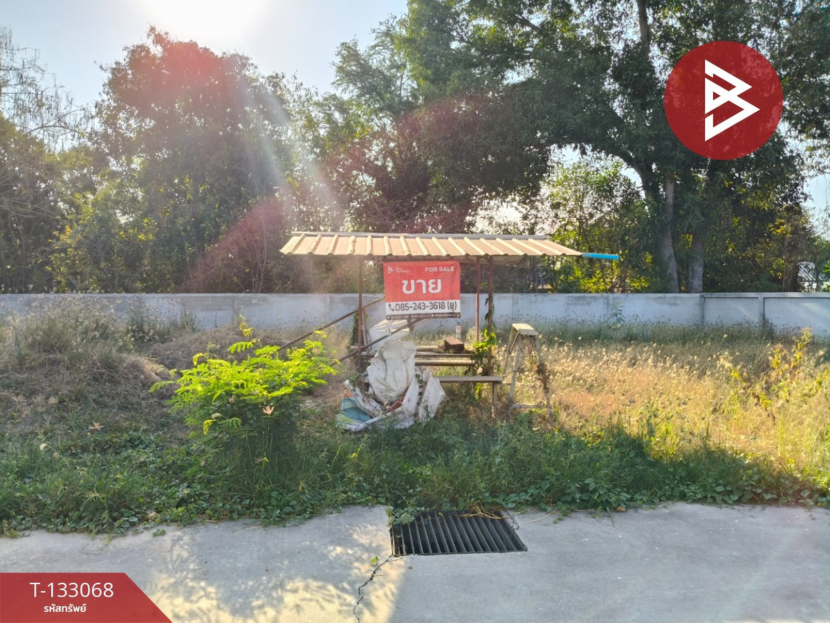 ขายที่ดินโคราช นครราชสีมา : ขายที่ดินเปล่า เนื้อที่ 49.5 ตารางวา โคกสูง นครราชสีมา