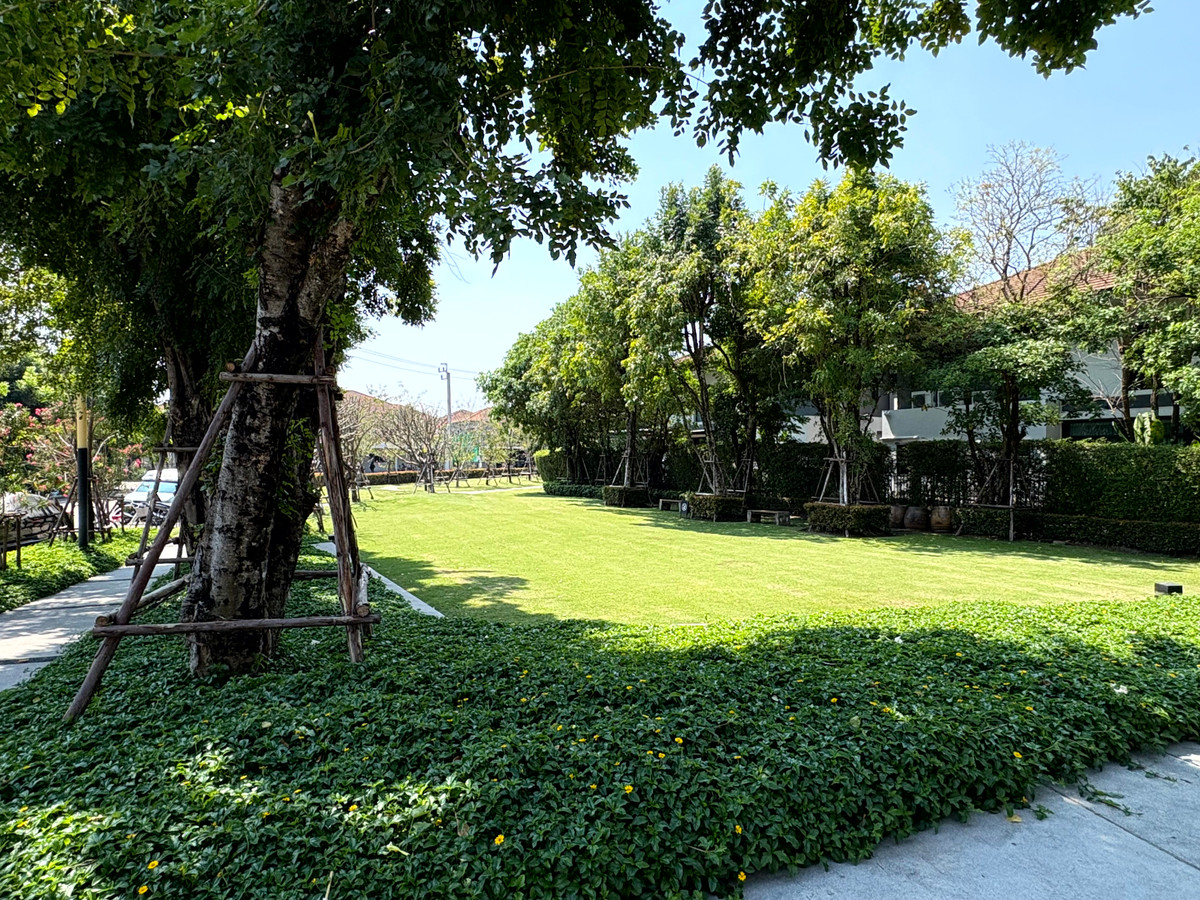 For RentHousePattanakan, Srinakarin : For rent Setthasiri Krungthep Kreetha