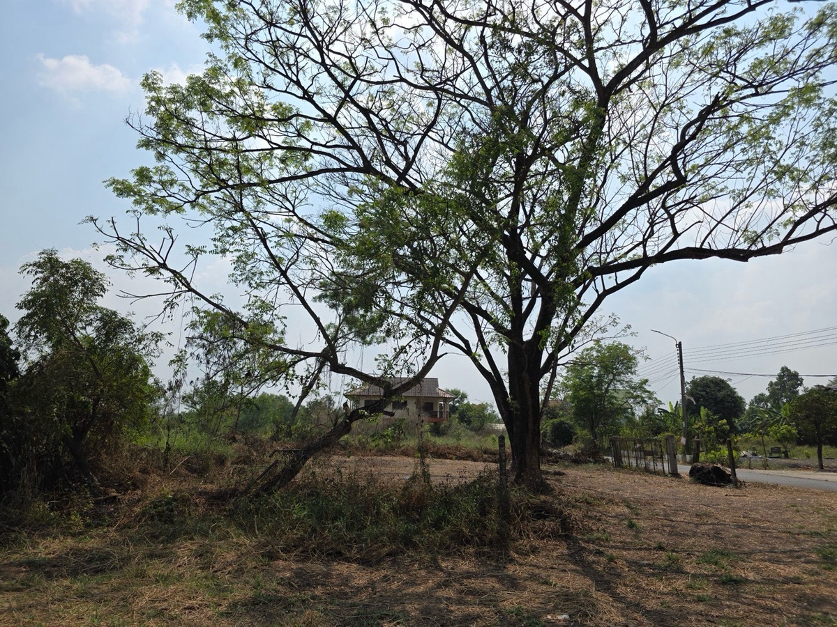 For RentLandMin Buri, Romklao : Land already filled, 143 square meters, beautiful location.