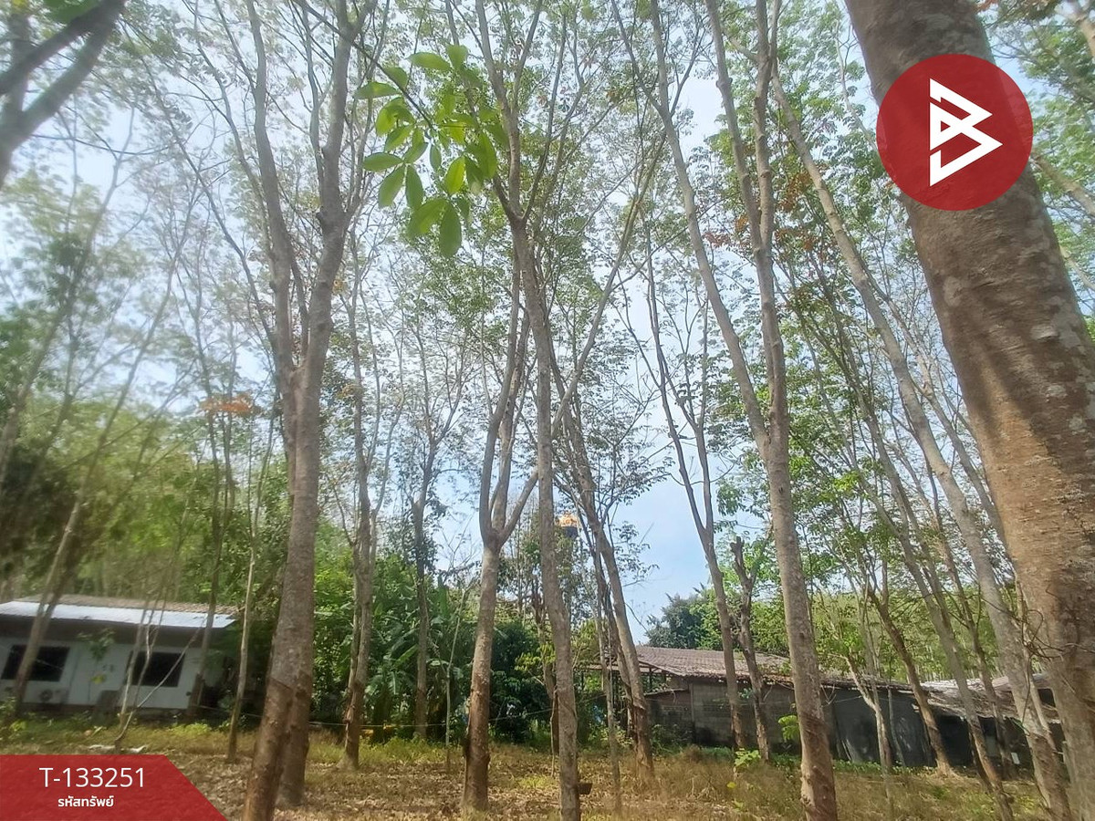 For SaleLandRayong : Land for sale, area 4 rai, 2 rai, 1 sq m, Klaeng, Rayong.