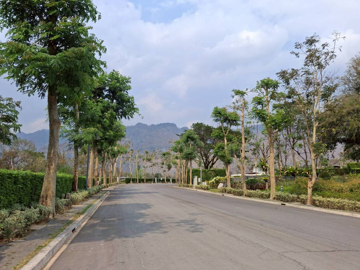 For SaleLandChiang Mai : Empty land for sale Pirom At Vineyard Khao Yai Pirom At Vineyard Code: L8055