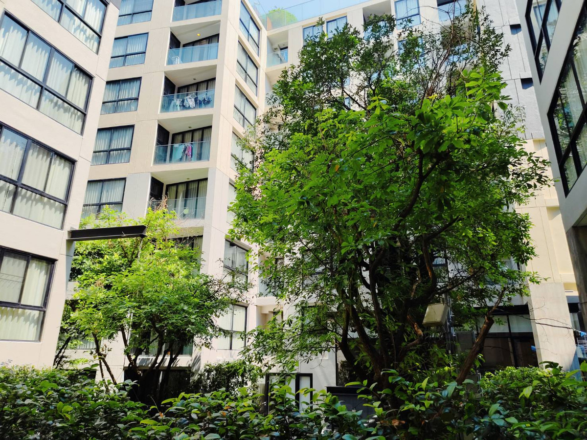 ขายคอนโดสุขุมวิท อโศก ทองหล่อ : 🔥Best Deal🔥 LIV@49 สุขุมวิท 49  ขายต่ำกว่าทุนสุดๆ ขายพร้อมผู้เช่า โอกาสทองอยู่เอง หรือลงทุน