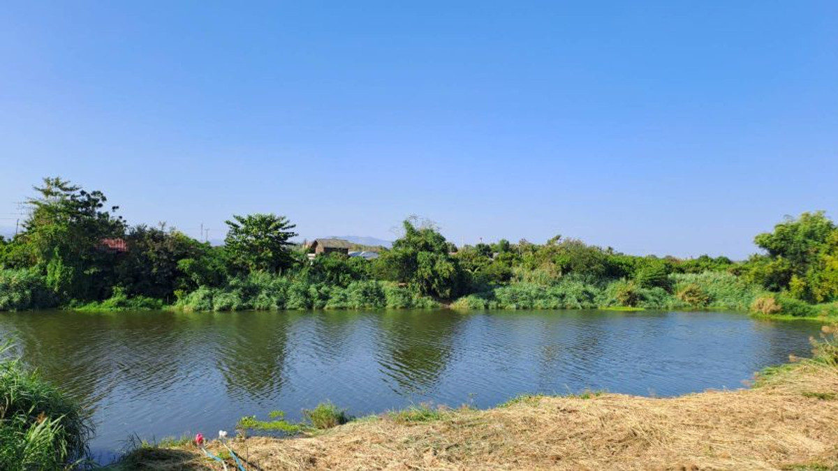 For SaleLandLamphun : ⚡ Land for sale next to the Ping River, Ban Wang Phang, Soi 1, Wang Phang Subdistrict, Wiang Nong Long District, Lamphun Province, size 3-1-34 rai, whole plot ⚡