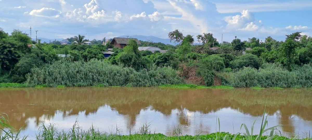 For SaleLandLamphun : ⚡ Land for sale next to the Ping River, Ban Wang Phang, Soi 1, Wang Phang Subdistrict, Wiang Nong Long District, Lamphun Province, size 3-1-34 rai, whole plot ⚡