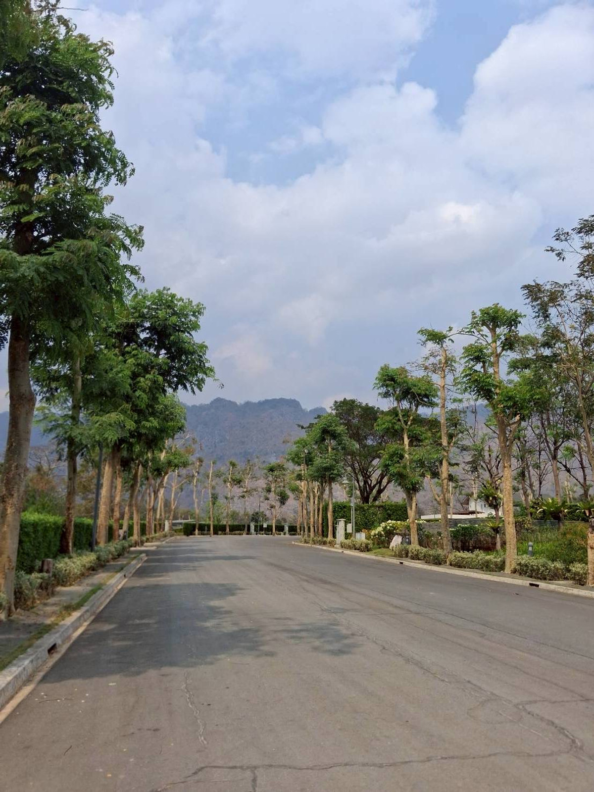 For SaleLandChiang Mai : Empty land for sale Pirom At Vineyard Khao Yai Pirom At Vineyard Code: L8055