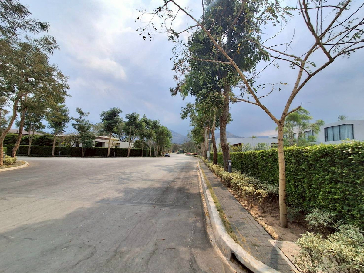 For SaleLandChiang Mai : Empty land for sale Pirom At Vineyard Khao Yai Pirom At Vineyard Code: L8055