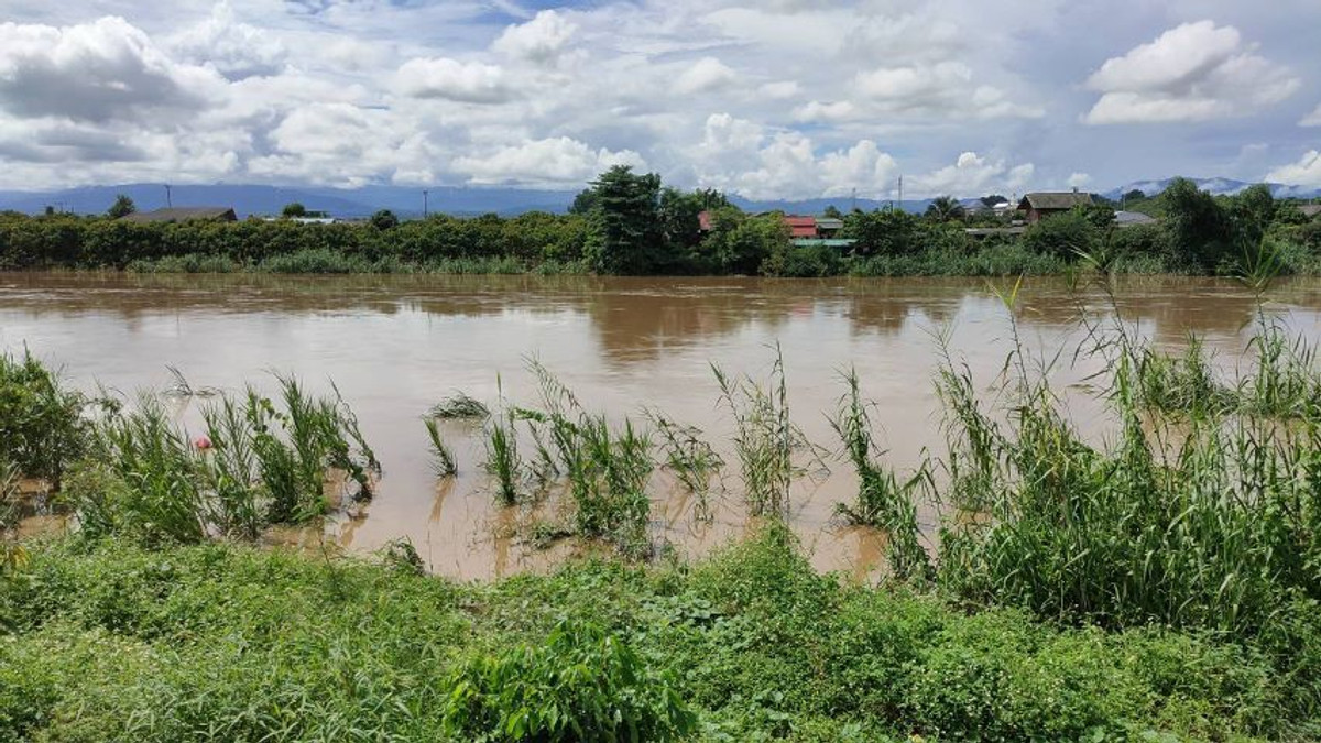 For SaleLandLamphun : ⚡ Land for sale next to the Ping River, Ban Wang Phang, Soi 1, Wang Phang Subdistrict, Wiang Nong Long District, Lamphun Province, size 3-1-34 rai, whole plot ⚡