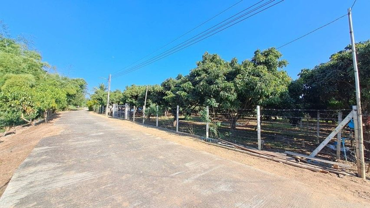 ขายที่ดินลำพูน : ⚡ ขายที่ดินติดแม่น้ำปิง บ้านวังผาง ซอย 1 ต.วังผาง อ.เวียงหนองล่อง จ.ลำพูน ขนาด 3-1-34 ไร่ ยกแปลง ⚡