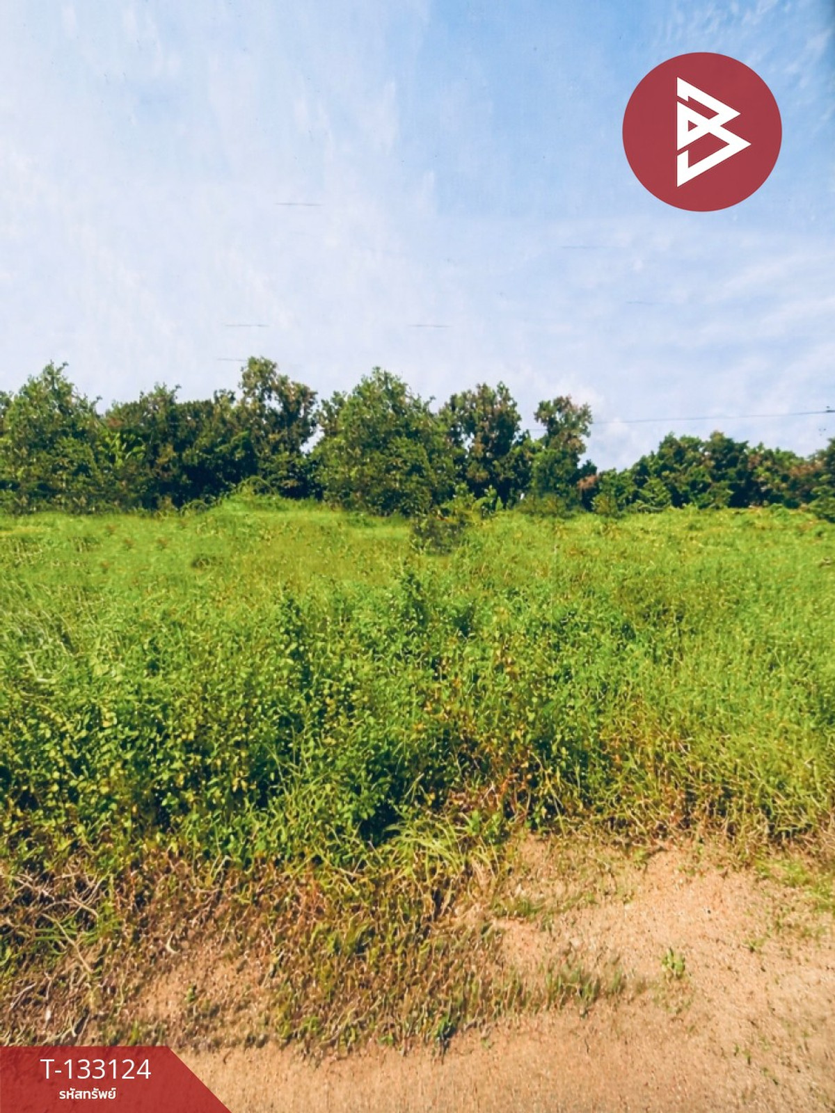 For SaleLandRayong : Land for sale, area 2 ngan 62.3 sq m, Klaeng, Rayong.