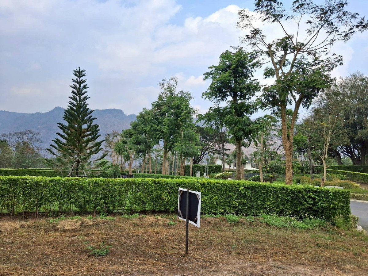 For SaleLandChiang Mai : Empty land for sale Pirom At Vineyard Khao Yai Pirom At Vineyard Code: L8055