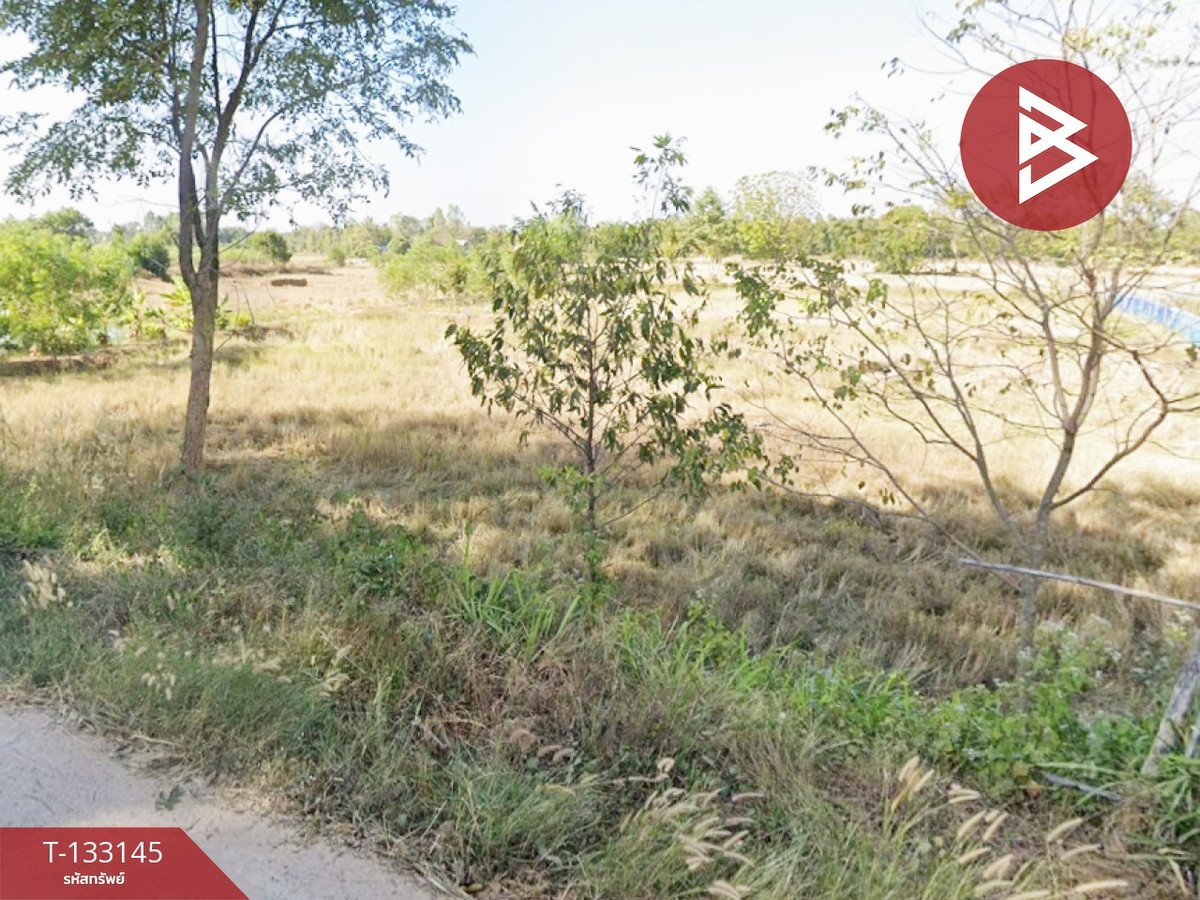 ขายที่ดินบุรีรัมย์ : ขายที่ดิน เนื้อที่ 10 ไร่ 1 งาน 95 ตร.วา สตึก บุรีรัมย์