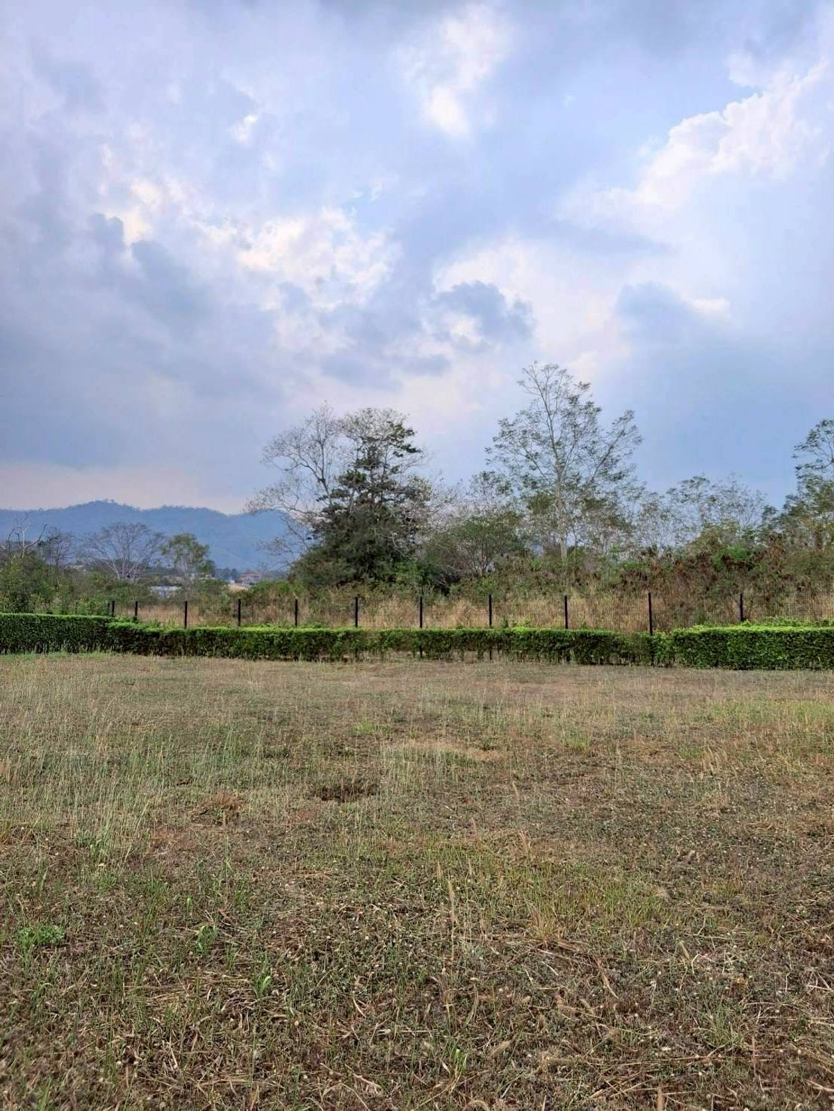 For SaleLandChiang Mai : Empty land for sale Pirom At Vineyard Khao Yai Pirom At Vineyard Code: L8055