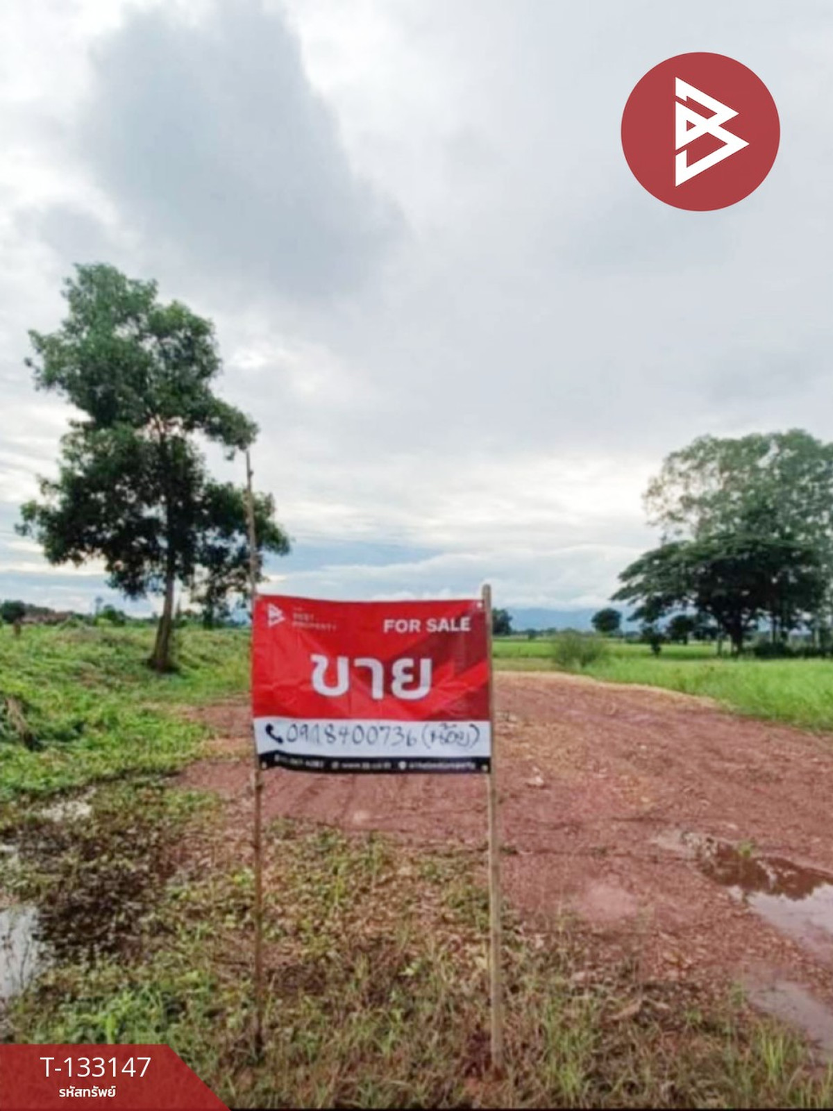 ขายที่ดินอุตรดิตถ์ : ขายที่ดิน เนื้อที่ 95 ตร.วา ท่าอิฐ อุตรดิตถ์