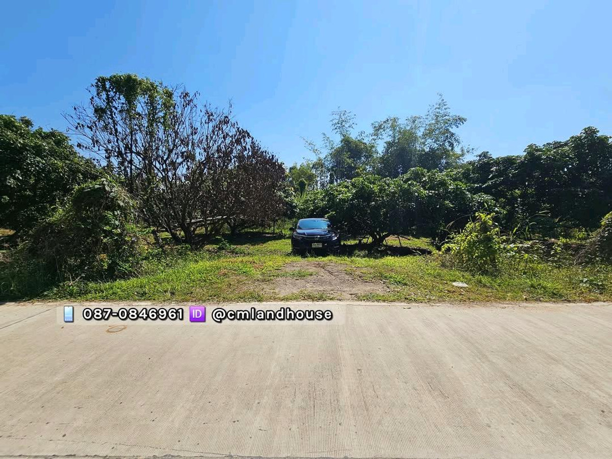 ขายที่ดินเชียงใหม่ : ที่ดินแปลงสวย 3 ไร่ ขายถูก ไร่ละ 1.6 ล้าน (ตรว.ละ 4,000) ติดถนน 2 ด้าน เส้นทางตรงเซ็นทรัลเฟส 15 กม. ใกล้ รพ.ดอยสะเก็ด 2.5 กม. ใกล้สวนทวีชล เป็นสวนลำไยและสวนไม้สัก มีไฟฟ้าประปา อยู่กลางชุมชน ไม่เปลี่ยว