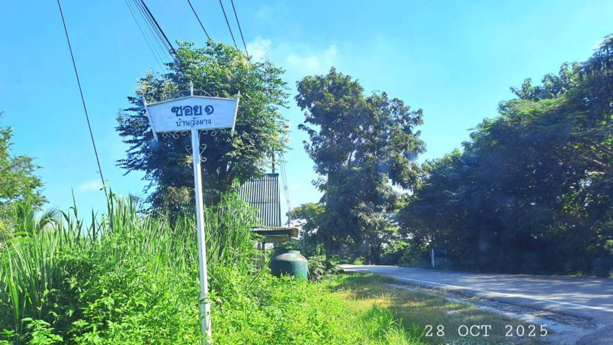 For SaleLandLamphun : ⚡ Land for sale next to the Ping River, Ban Wang Phang, Soi 1, Wang Phang Subdistrict, Wiang Nong Long District, Lamphun Province, size 3-1-34 rai, whole plot ⚡