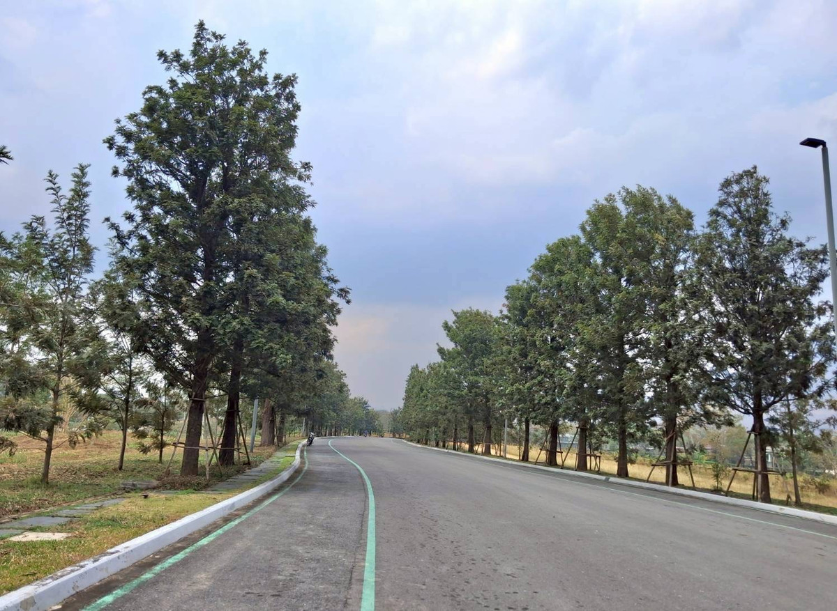 For SaleLandChiang Mai : Empty land for sale Pirom At Vineyard Khao Yai Pirom At Vineyard Code: L8055