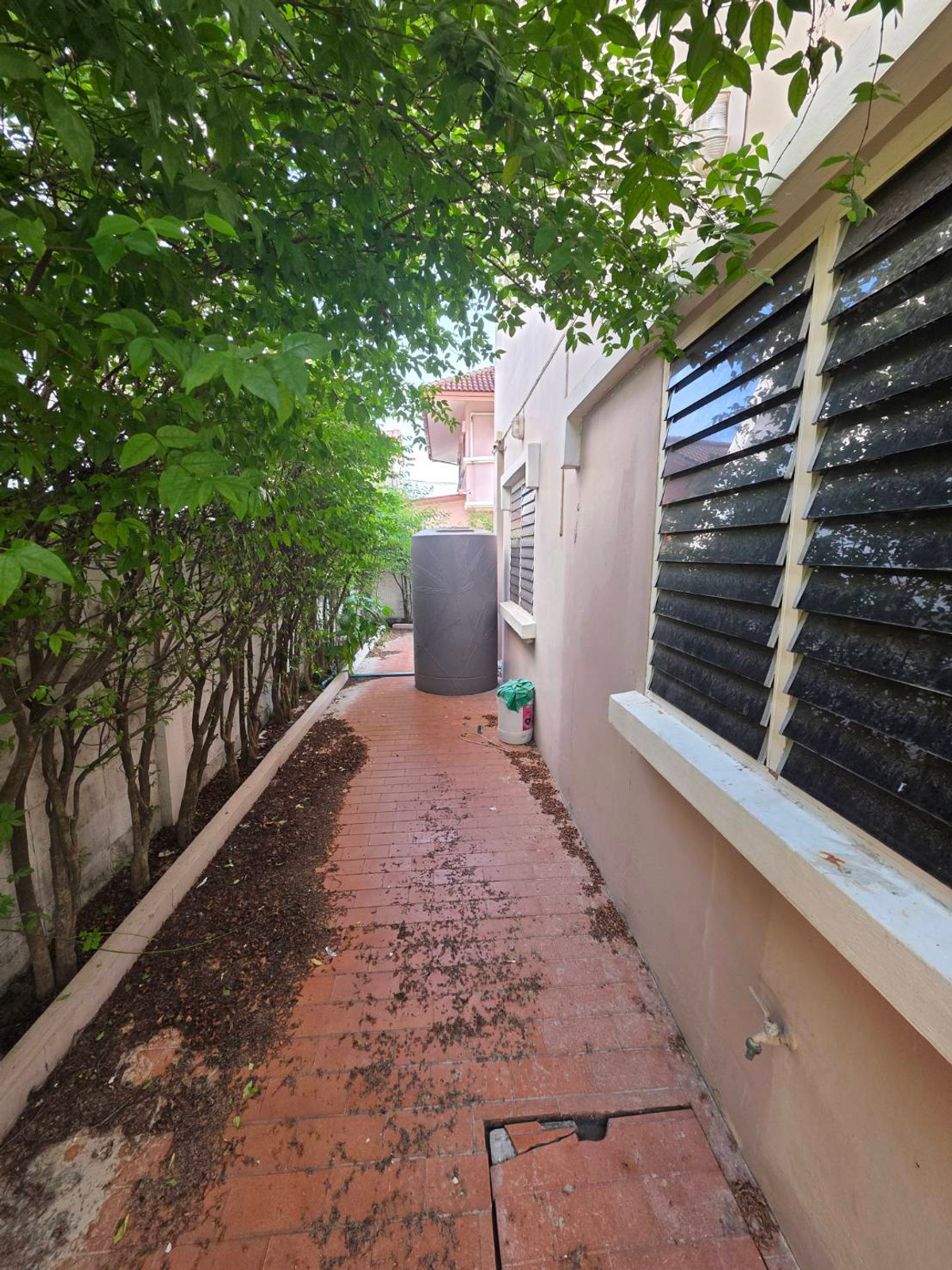 ให้เช่าบ้านปทุมธานี รังสิต ธรรมศาสตร์ : ให้เช่าบ้านเดี่ยว หมู่บ้านเมืองเอกโครงการ 6 ใกล้ มหาวิทยาลัยรังสิต เพียง 1 นาที