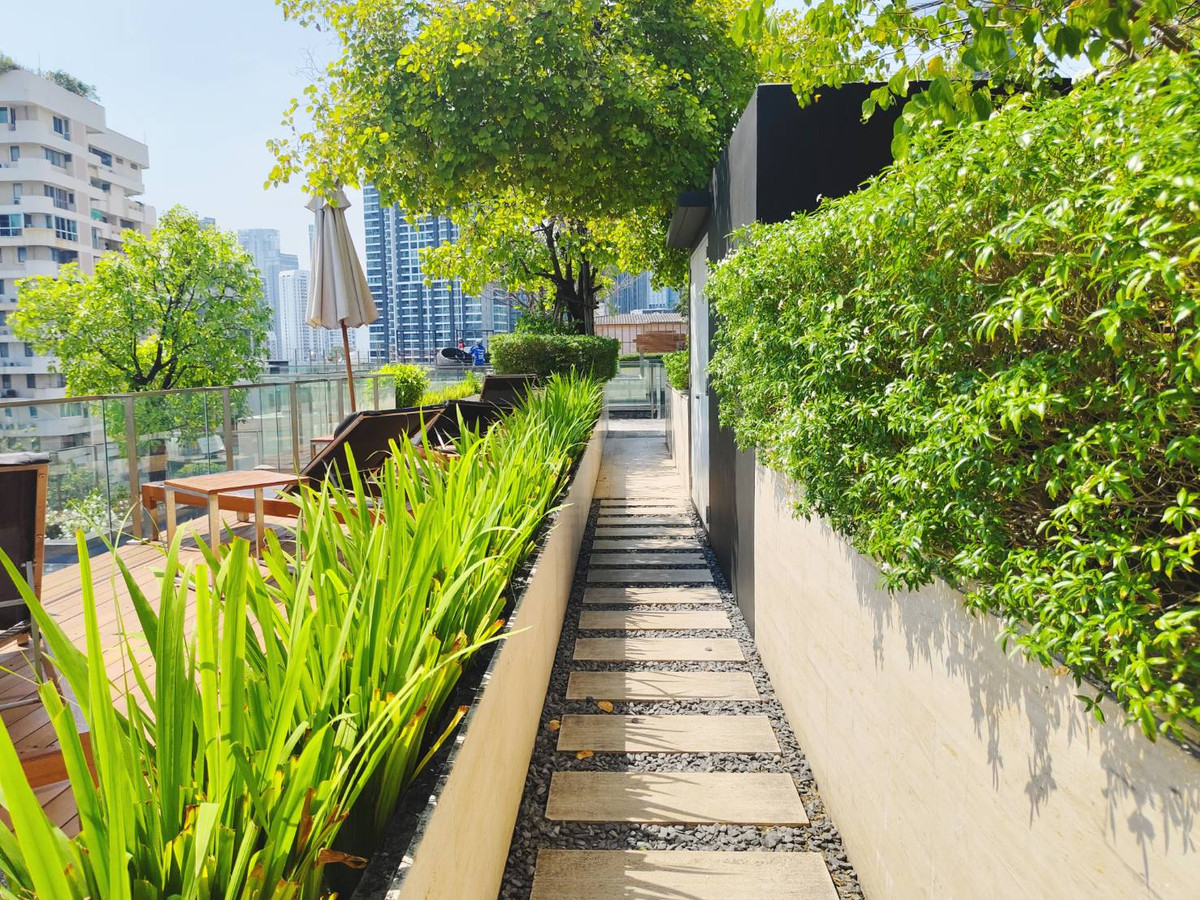 ขายคอนโดสุขุมวิท อโศก ทองหล่อ : 🔥Best Deal🔥 LIV@49 สุขุมวิท 49  ขายต่ำกว่าทุนสุดๆ ขายพร้อมผู้เช่า โอกาสทองอยู่เอง หรือลงทุน