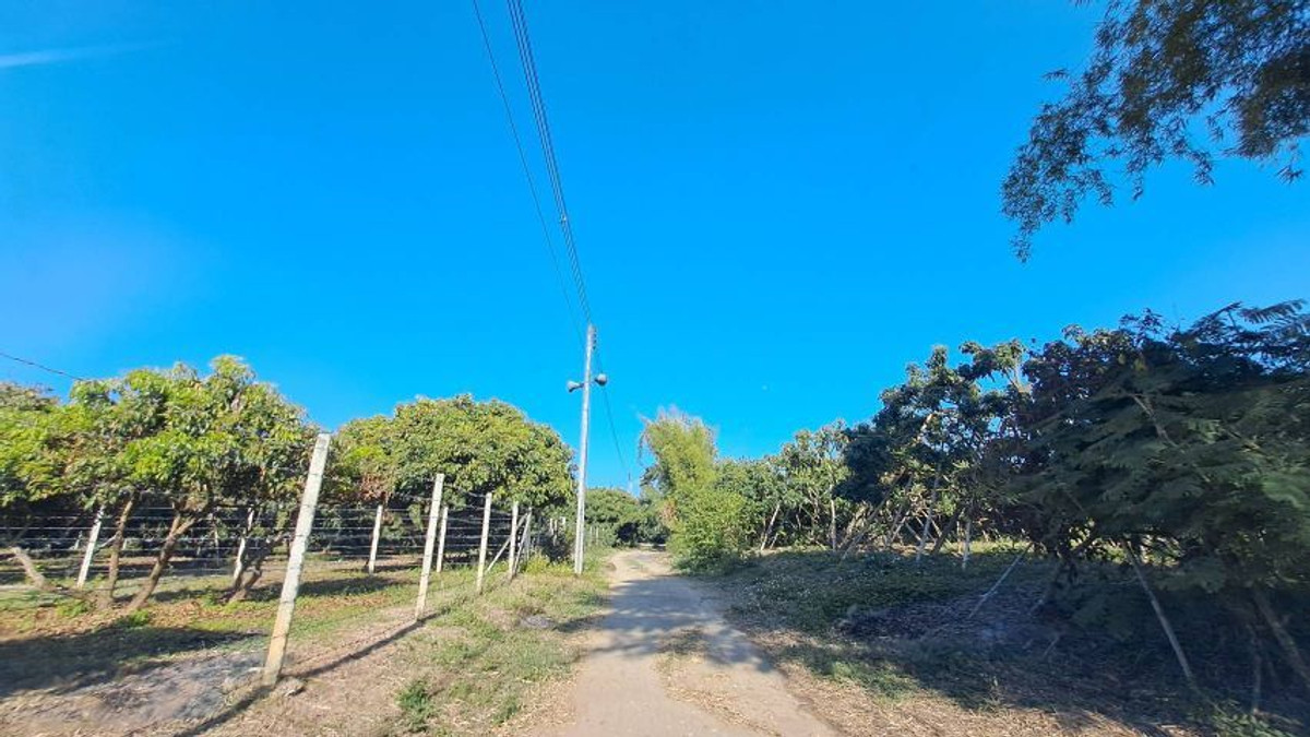 For SaleLandLamphun : ⚡ Land for sale next to the Ping River, Ban Wang Phang, Soi 1, Wang Phang Subdistrict, Wiang Nong Long District, Lamphun Province, size 3-1-34 rai, whole plot ⚡