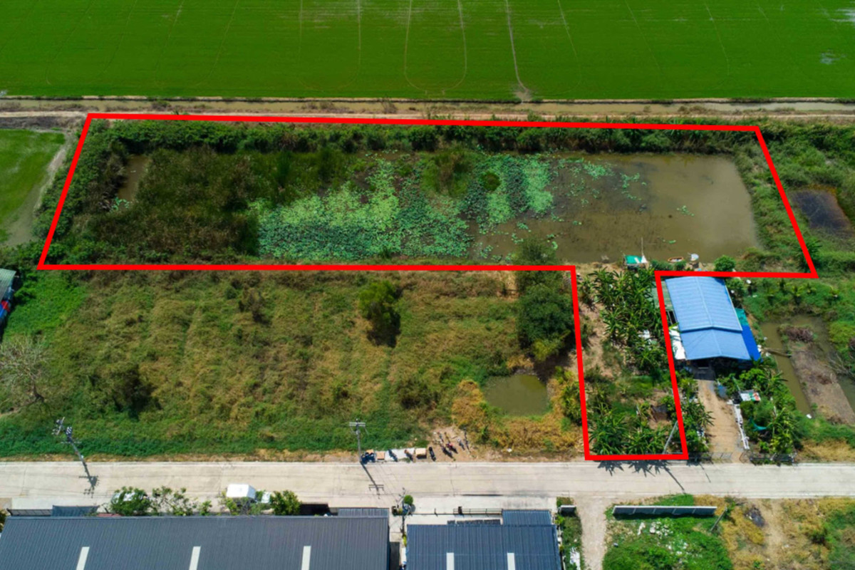 ขายที่ดินปทุมธานี รังสิต ธรรมศาสตร์ : โคตรถูก ราคานี้จับต้องง่าย! ขายที่ดินรังสิตคลอง 5 (ซอยคลอง 5 ตะวันออก 4) 