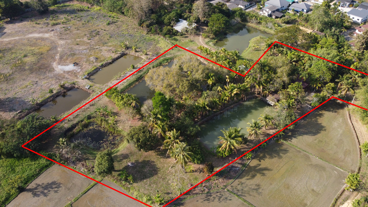 For SaleLandLampang : [Exclusively for Sale] Land approximately 5- 6 rai, Bo Haeo – Nam Thong, Lampang Province.