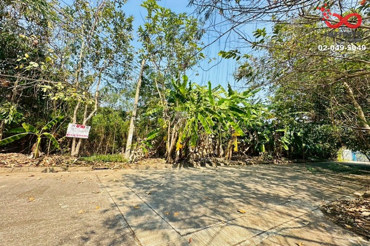 For SaleLandMin Buri, Romklao : Land for sale, 96 sq m, Flora Ville Village. Suwinthawong Road, Lam Phak Chi, Nong Chok