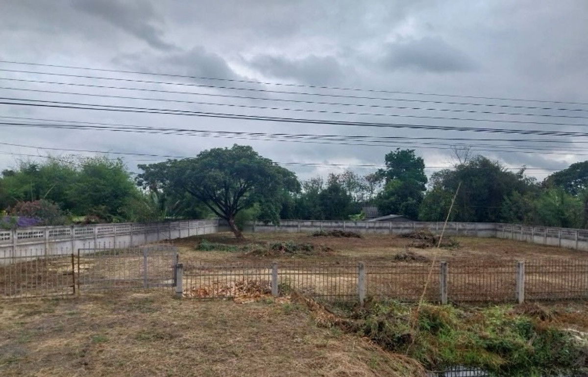 ขายที่ดินเชียงใหม่ : ขายด่วน ที่ดิน 1 ไร่ ทำเลสวยมาก ติดถนนสันกำแพงตัดใหม่ ถมแล้ว พร้อมปลูกสิ่งก่อสร้าง เจ้าของขายเอง