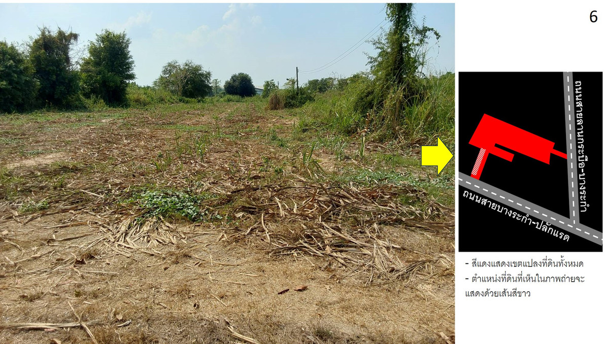 ขายที่ดินพิษณุโลก : ที่ดินบางระกำ พิษณุโลก 25-0-95 ไร่ ติดถนนหลวงถึง 2 ด้าน (ถนน 1065, 1281)  โอกาสทองที่ไม่ควรพลาด!🚀